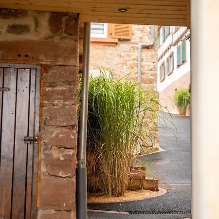 O Gre Des Vosges 5 Etoiles Oberbronn, Vosges Du Nord * Oberbronn