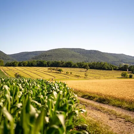 아파트 O Gre Des Vosges 5 Etoiles Oberbronn, Vosges Du Nord Oberbronn