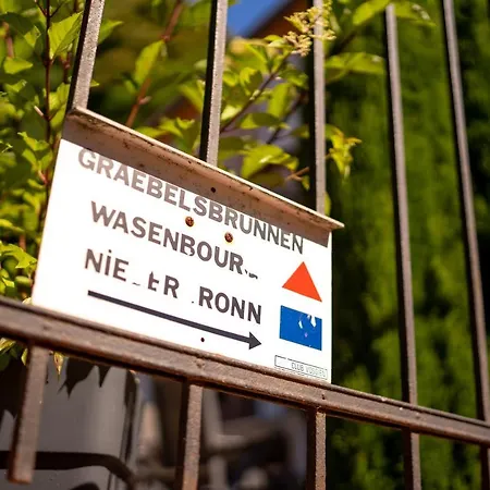 O Gre Des Vosges 5 Etoiles Oberbronn, Vosges Du Nord Oberbronn