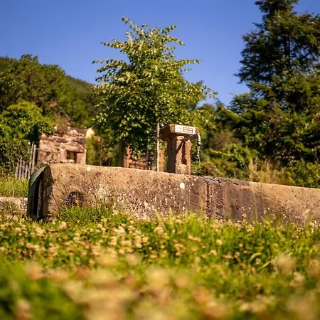 O Gre Des Vosges 5 Etoiles Oberbronn, Vosges Du Nord 아파트 Oberbronn