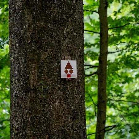 O Gre Des Vosges 5 Etoiles Oberbronn, Vosges Du Nord Oberbronn