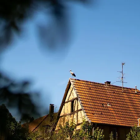 Apartamento ô Gré Des Vosges 5 étoiles Oberbronn, Vosges Du Nord
