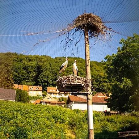 O Gre Des Vosges 5 Etoiles Oberbronn, Vosges Du Nord * Oberbronn