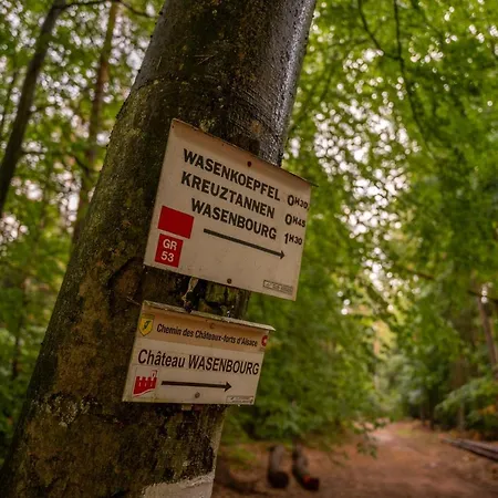 O Gre Des Vosges 5 Etoiles Oberbronn, Vosges Du Nord 아파트 *