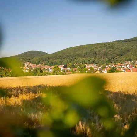 O Gre Des Vosges 5 Etoiles Oberbronn, Vosges Du Nord Apartment Oberbronn