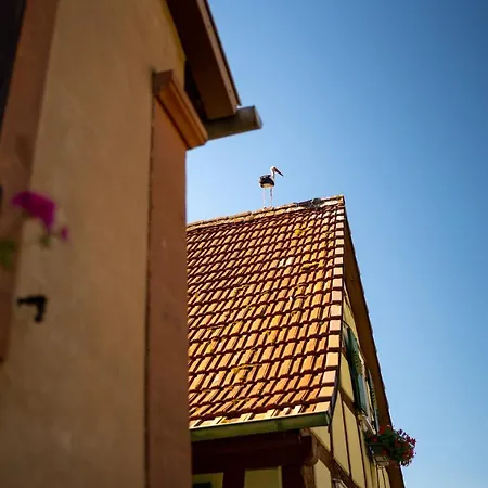 아파트 O Gre Des Vosges 5 Etoiles Oberbronn, Vosges Du Nord *