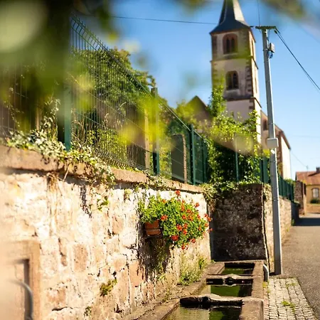 O Gre Des Vosges 5 Etoiles Oberbronn, Vosges Du Nord