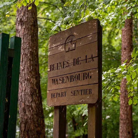 아파트 O Gre Des Vosges 5 Etoiles Oberbronn, Vosges Du Nord *