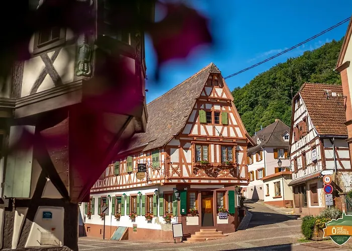 ô Gré Des Vosges 5 étoiles Oberbronn, Vosges Du Nord Apartment *