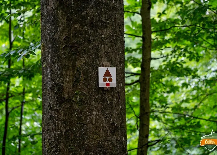 ô Gré Des Vosges 5 étoiles Oberbronn, Vosges Du Nord Oberbronn