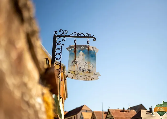ô Gré Des Vosges 5 étoiles Oberbronn, Vosges Du Nord * Oberbronn