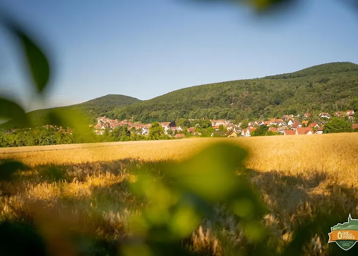 ô Gré Des Vosges 5 étoiles Oberbronn, Vosges Du Nord Apartment Oberbronn